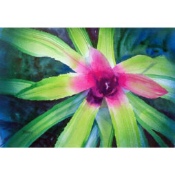 Bromiliad Original watercolor 21" x 14" on paper